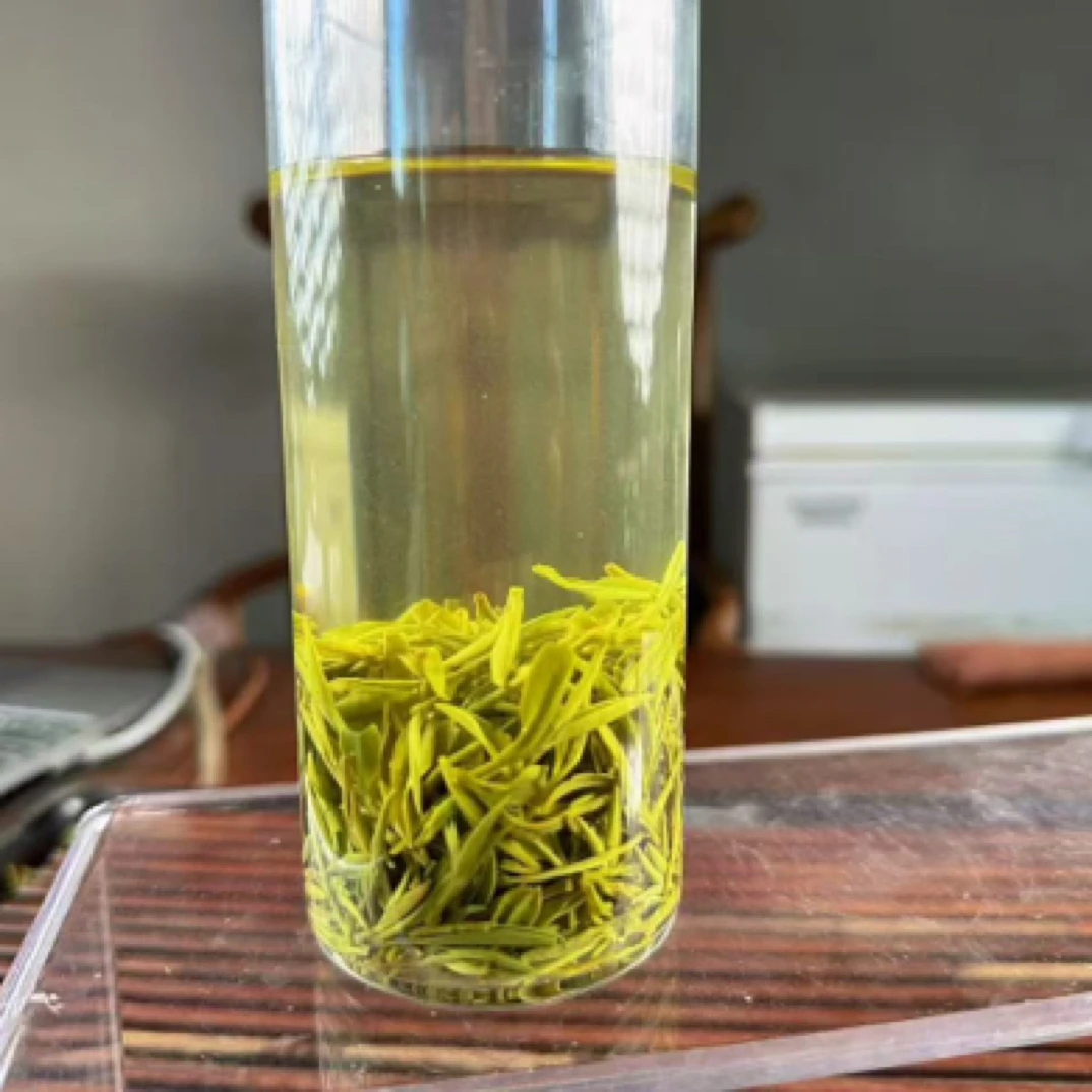 大别尖2025信阳高山老旱茶一芽一叶（香高味浓）主推款（雨前早期）