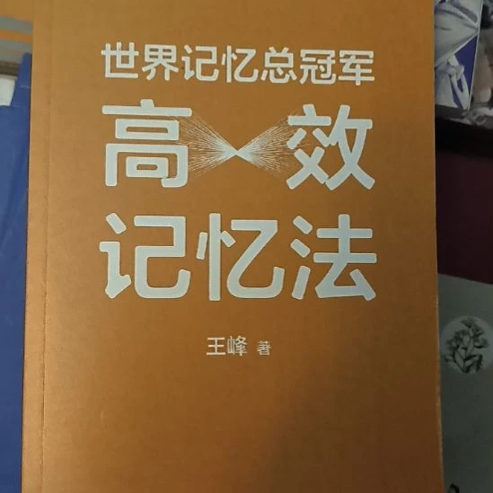 高效记忆法，全新无塑封