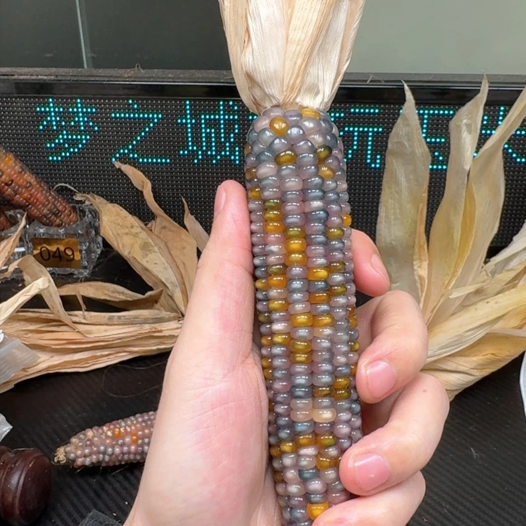 柏香籽/百香籽吊坠柚***檬