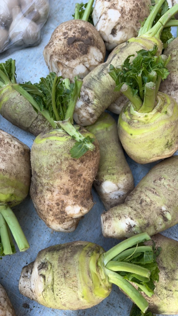 乡村赶集 鲜摘农户自种 大头菜