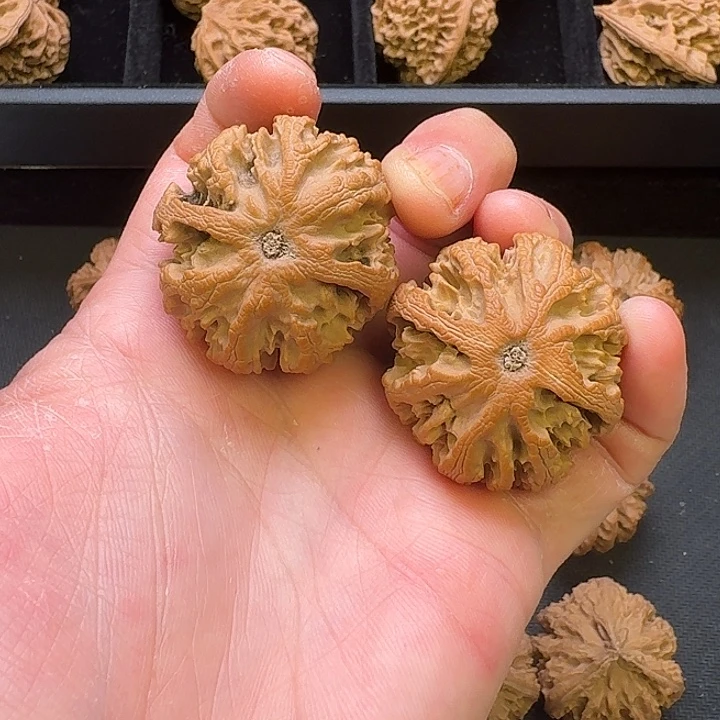 二***子我也不知道怎么办了