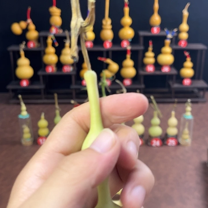 尹***虎葫芦笙真的超好听