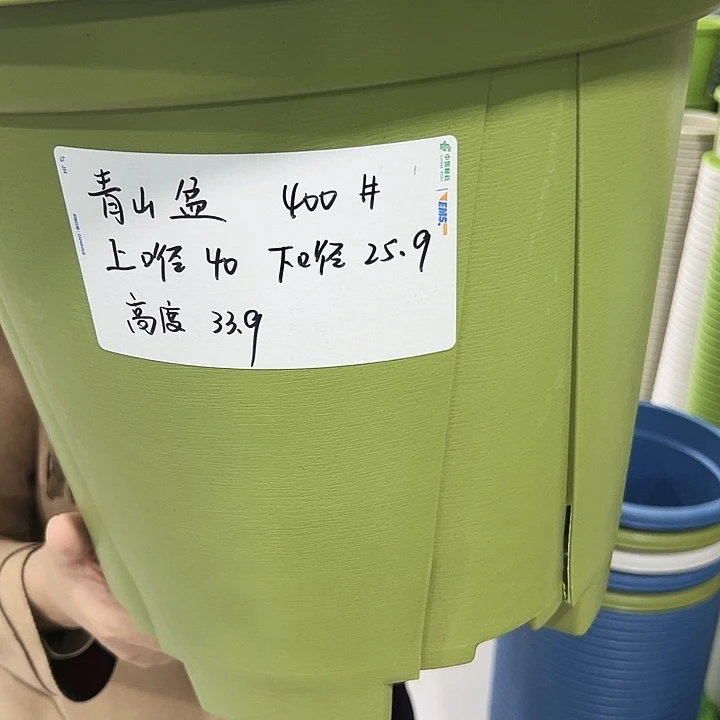 正品青山盆口40高35无托果绿色5只