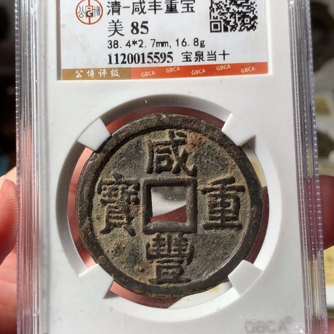 金泉十大样38➕5595