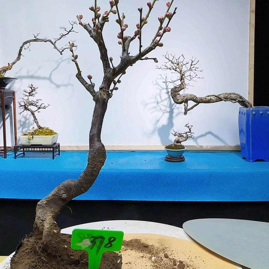 无铅玻璃万**意f g b j k k l