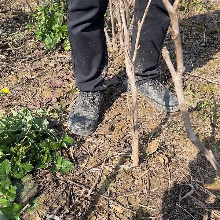 @***英完全开放赵粉大颗