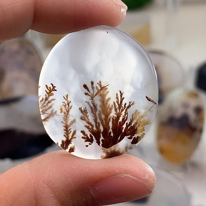 玛瑙/玉髓颈饰未镶嵌从****^