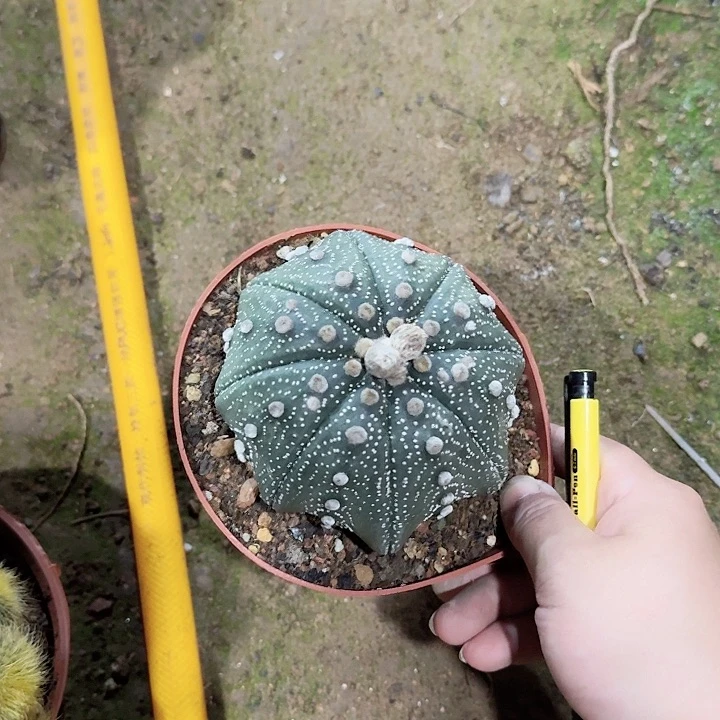 王****哈哈哈哈哈哈哈哈