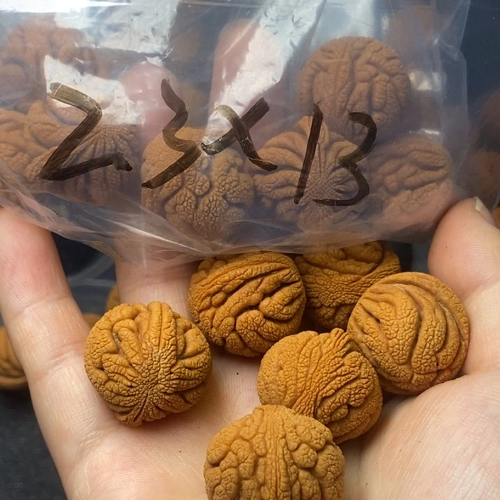 桃核吊坠秦岭山野生桃核