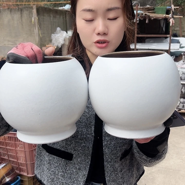 红陶两个白球福利