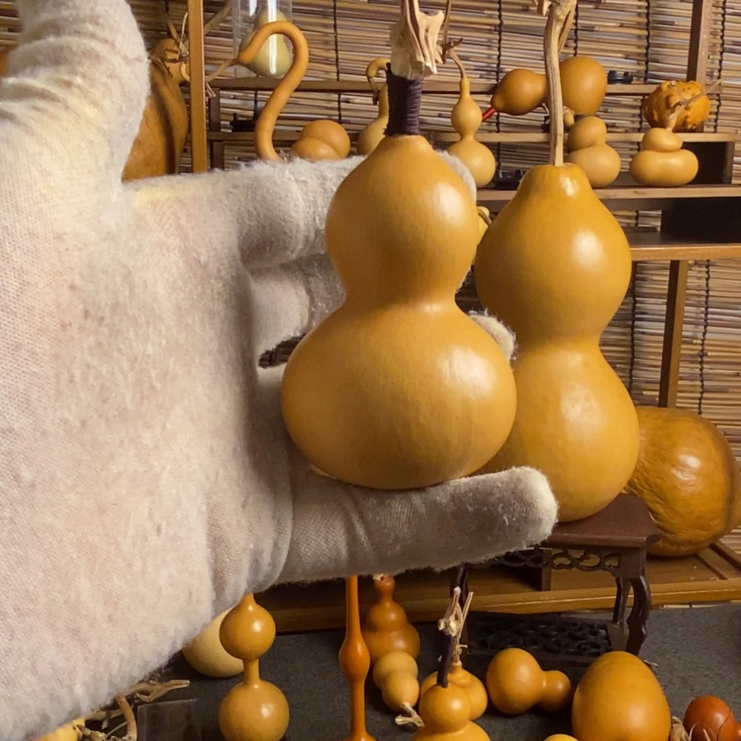 llllllllllllllll一物一拍链接37