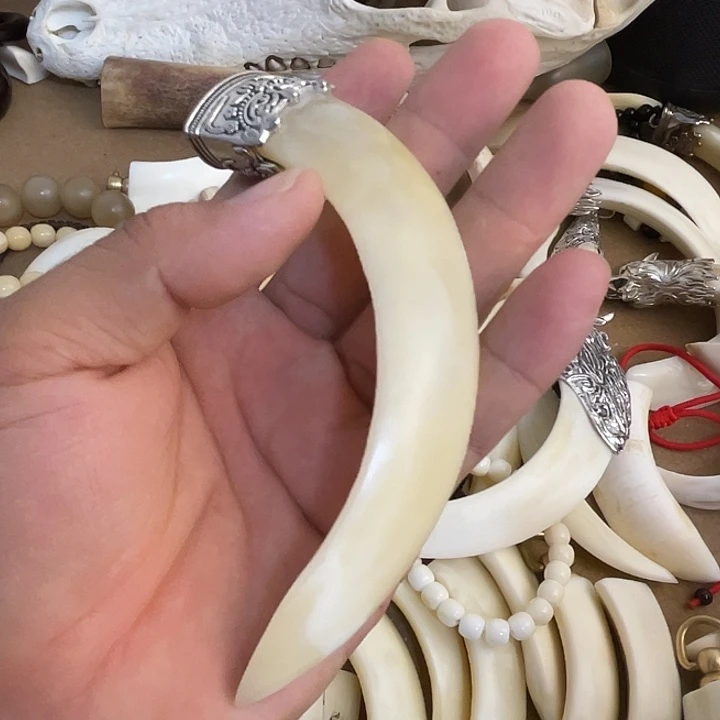 猪牙獠牙手把件挂件