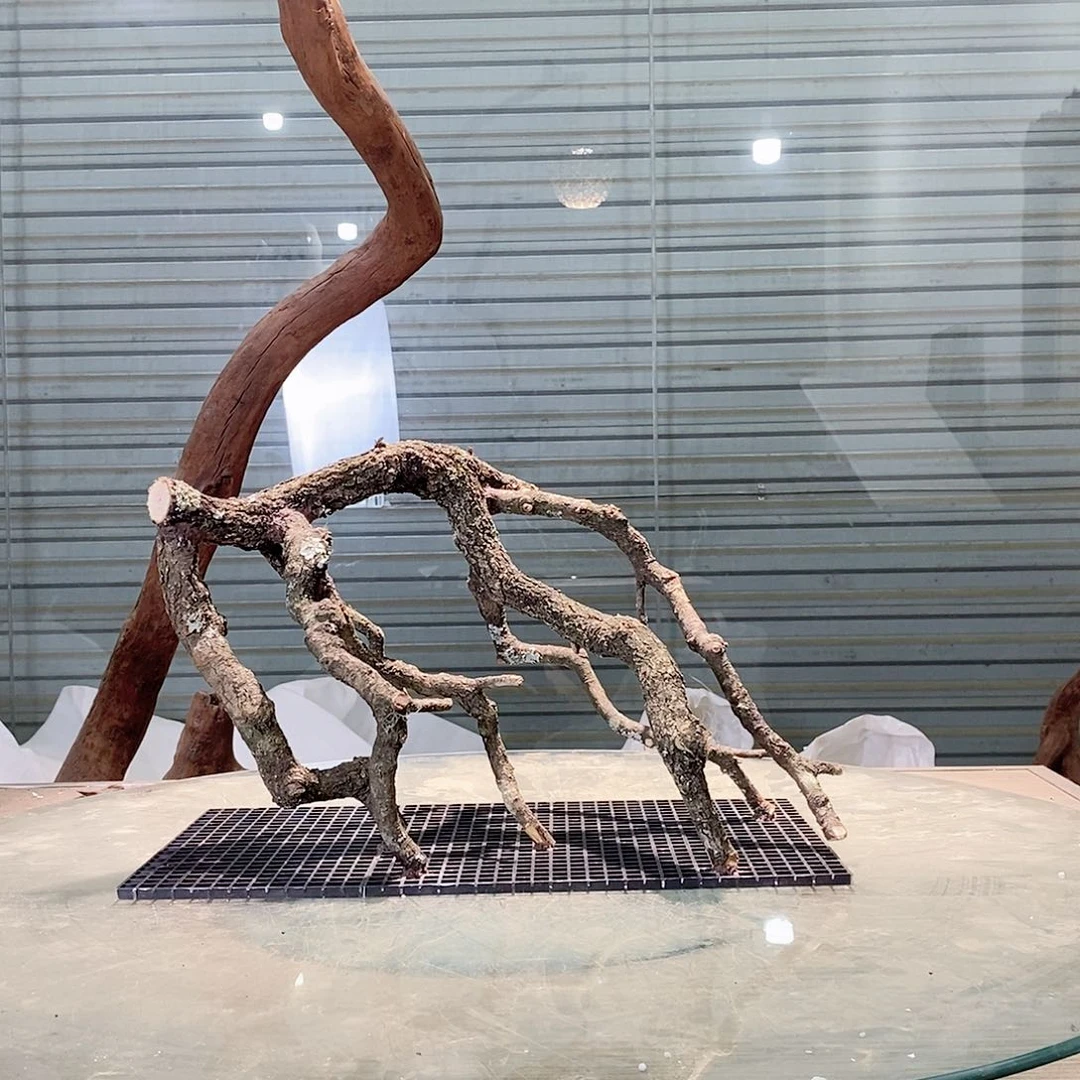 木?****威云南鱼缸造景素材