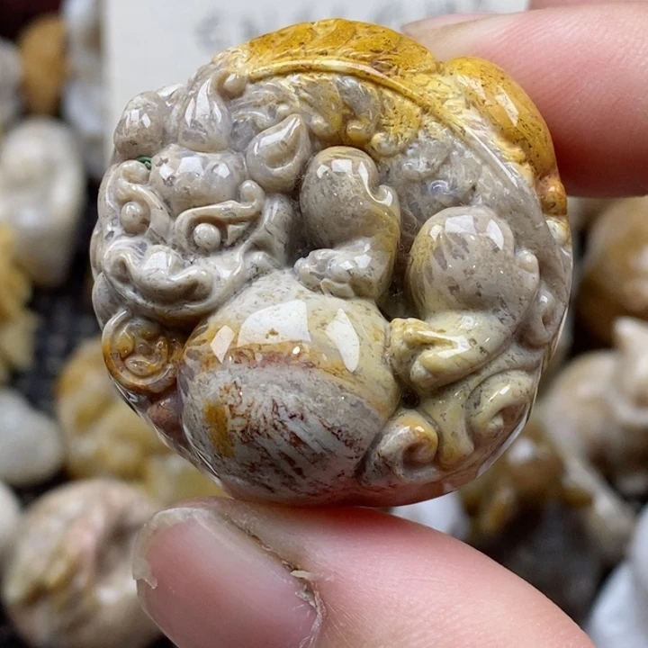 颈饰未镶嵌硅化珊瑚（珊瑚玉）
