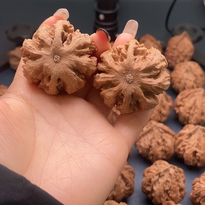 元***贞把件龙脊菩提秦岭核桃