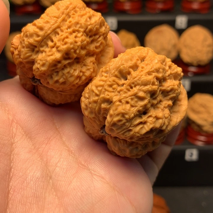文玩核桃把件臻龙43尺寸
