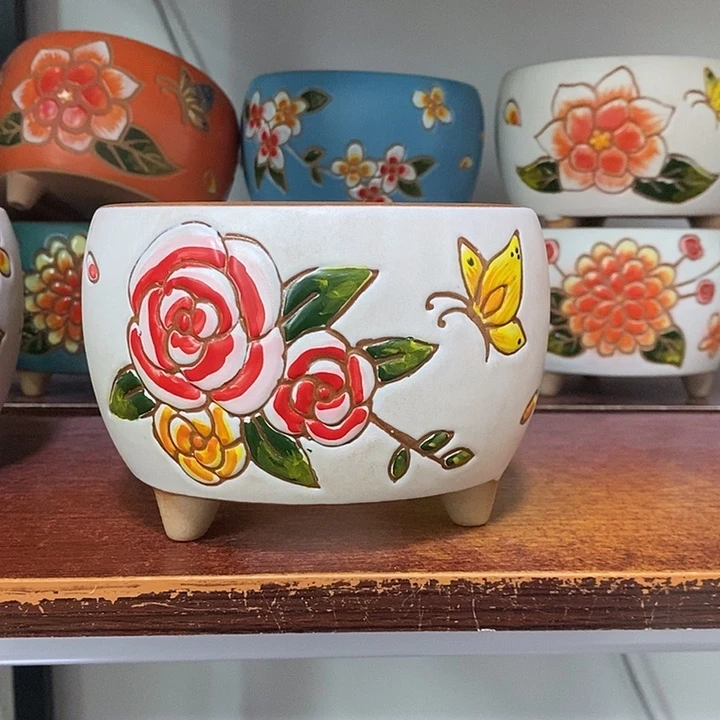 韩式多肉植物花盆