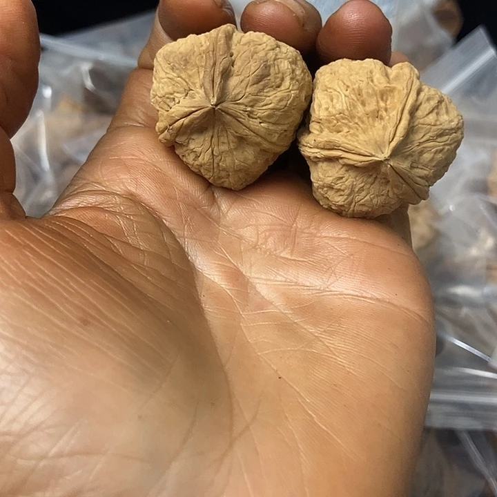 把件文玩核桃云南铁核桃基地19