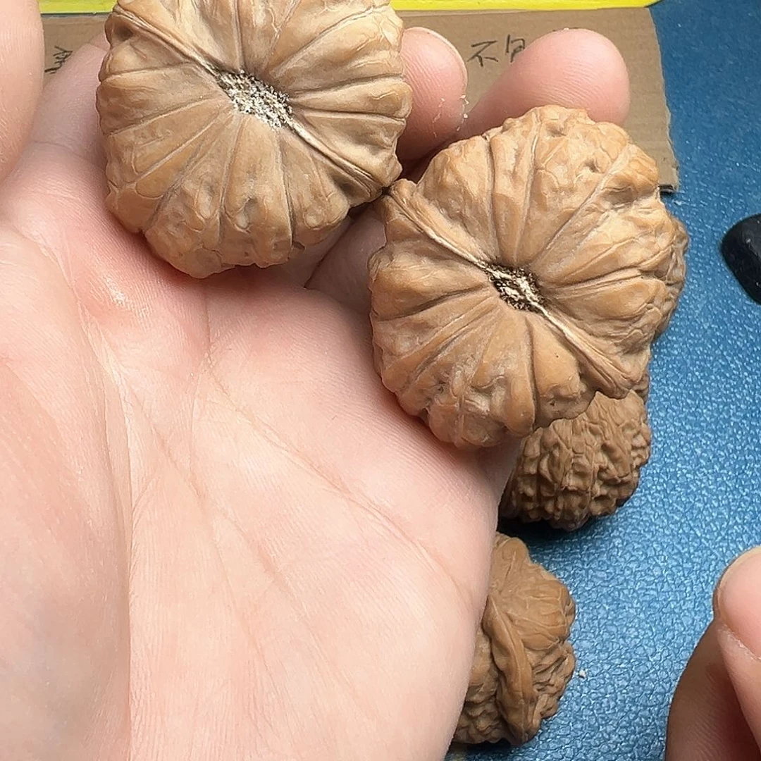 文玩核桃把件40➕南瓜饼