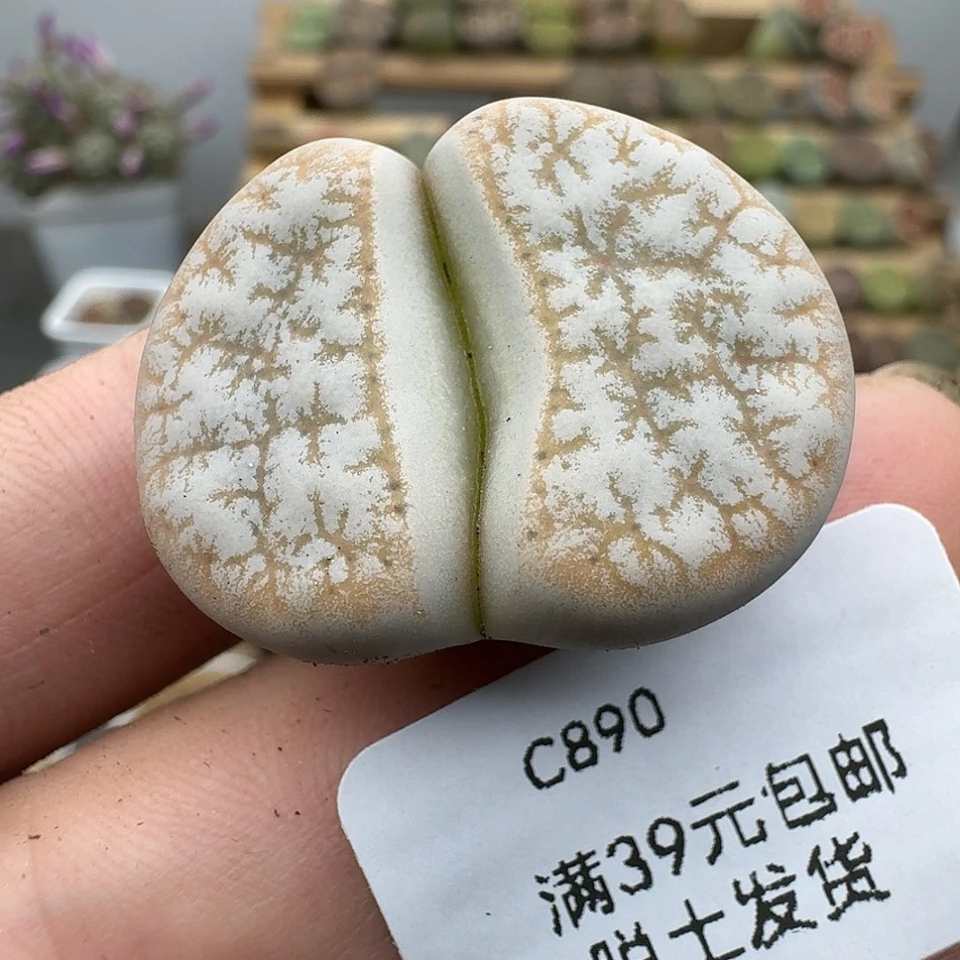 890侧面有一点点划痕哈哈哈哈哈哈