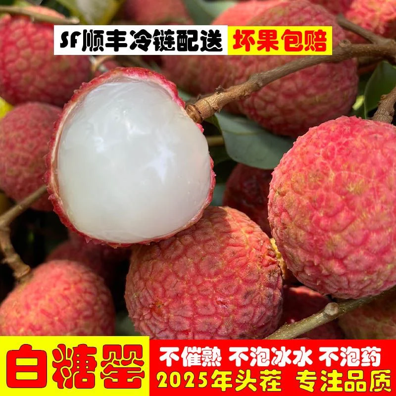 【顺丰EMS京东空运】广西灵山正宗白糖罂荔枝新鲜现摘纯甜当季水果