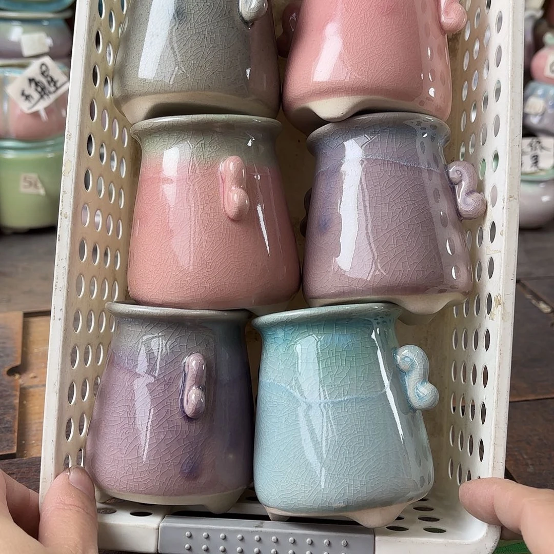 量货/5口高8深浅搭配发6