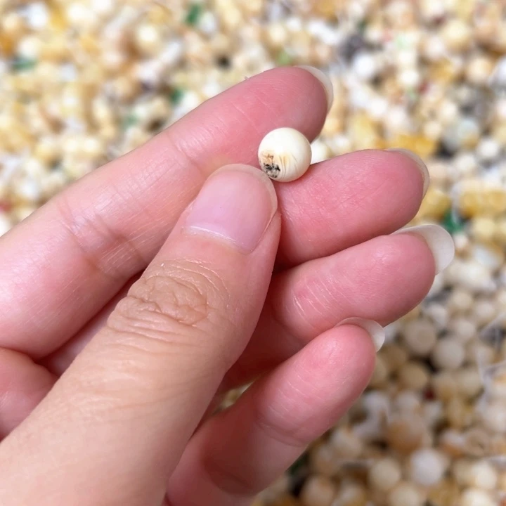 裸石蜜蜡未镶嵌8mm一个
