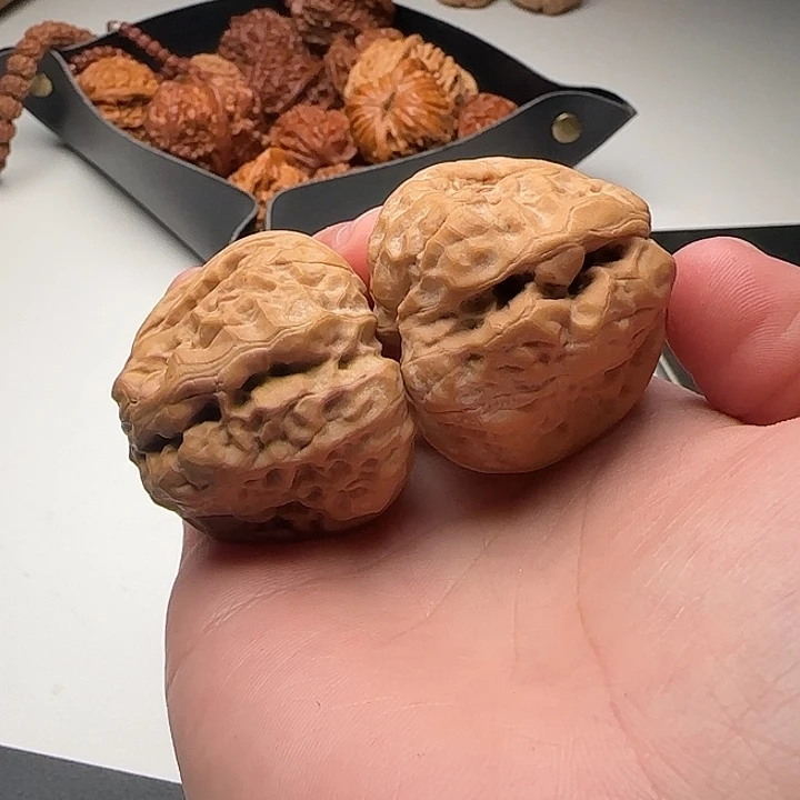 39-43-34蛙蟾型好开背C37号