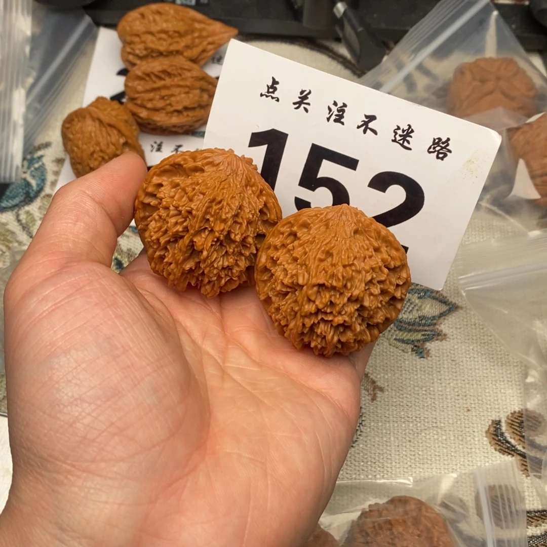 核桃44满天哈哈哈哈