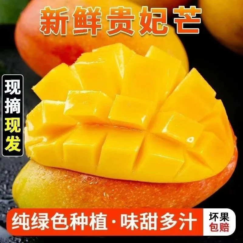 Y云南贵妃芒新鲜应季芒果爆甜多汁皮薄肉厚核薄