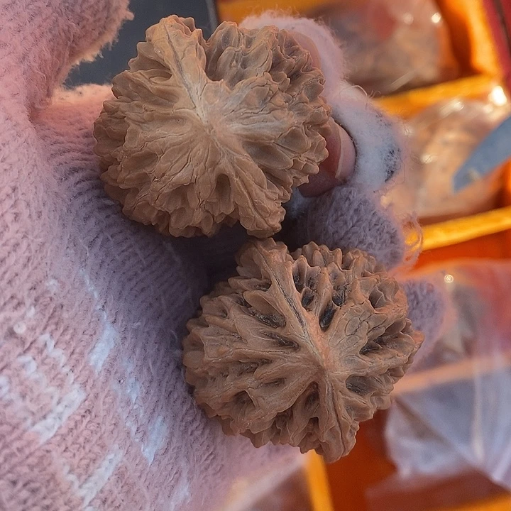 核桃市场代购不退不换老鼠43尺