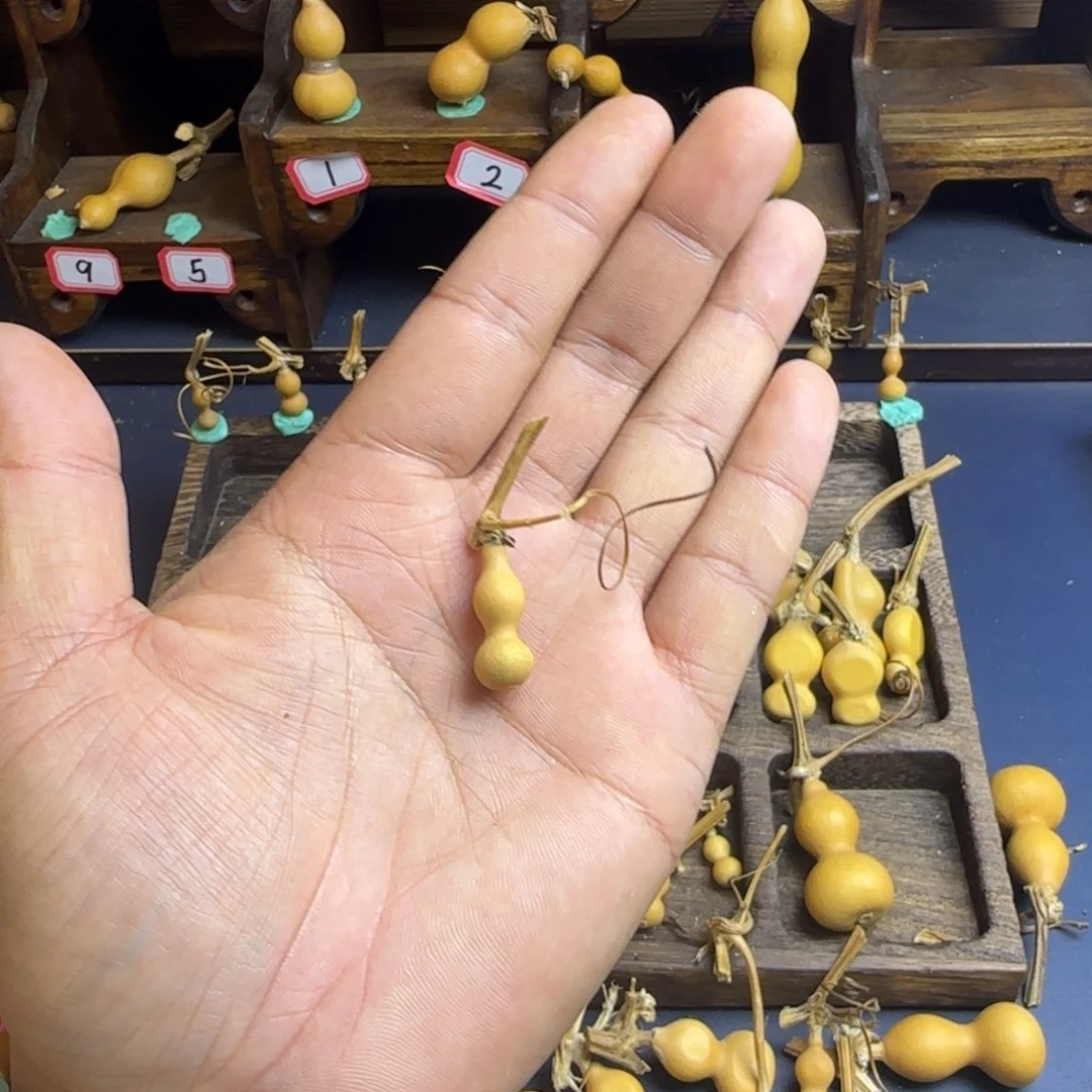 洋*洋我是一只小小鸟地域鬼的人都不知道