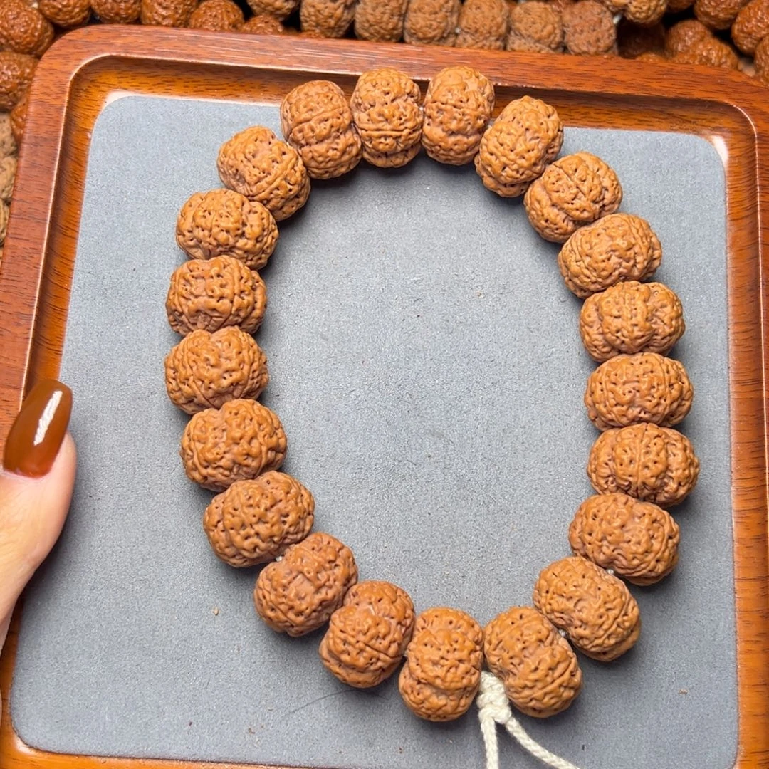 菩提21号金刚菩提爆肉梁夹板手持22.5/23