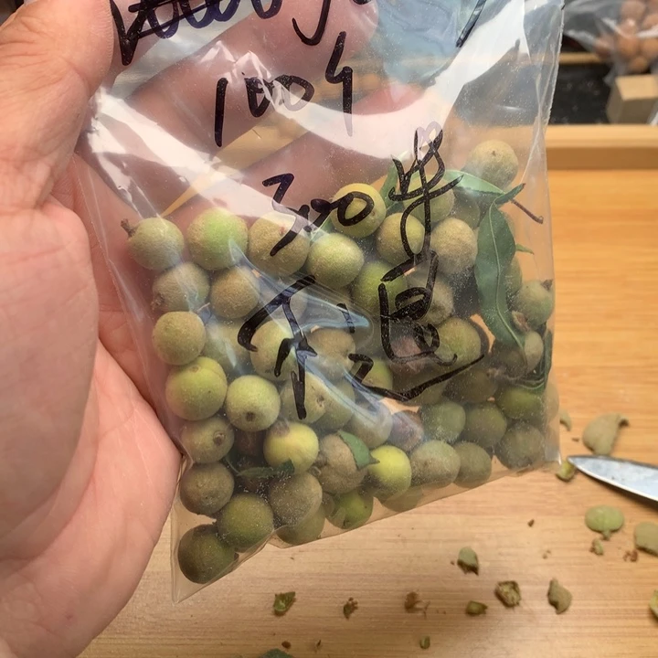 J***F文玩核桃吊坠野生精品小核桃散籽