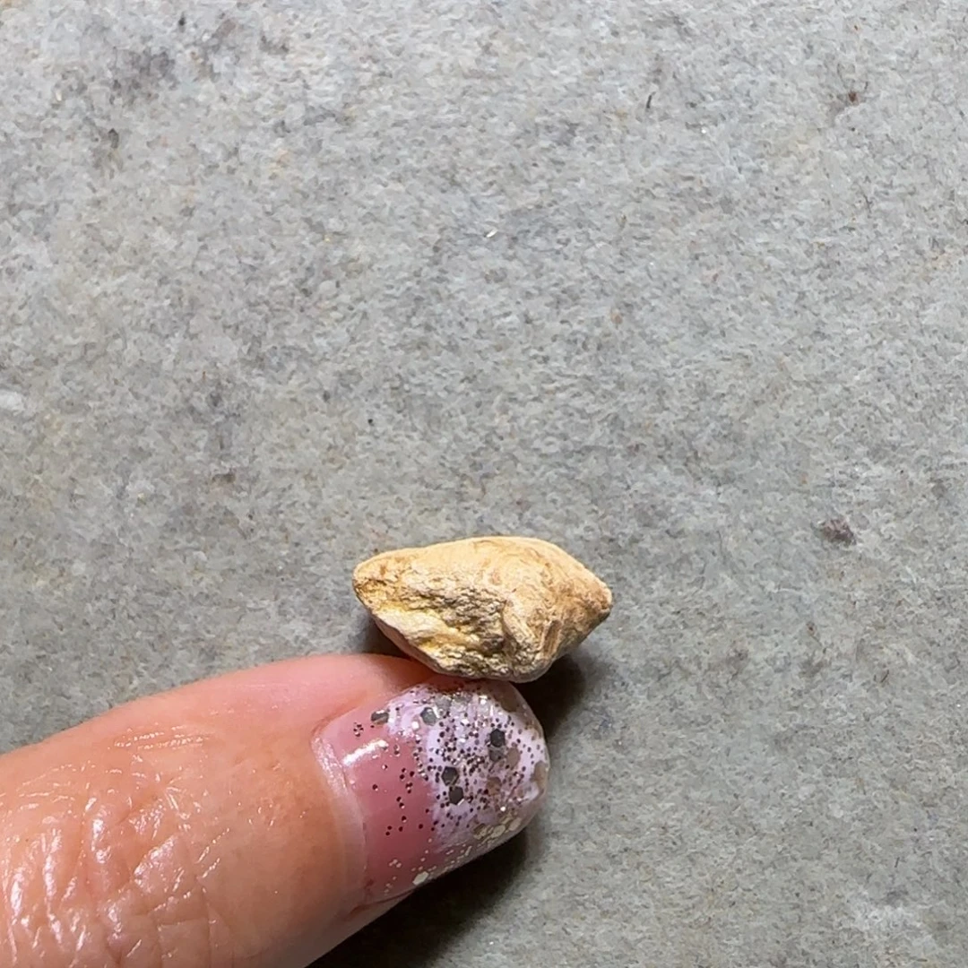 就***头琥珀未镶嵌裸石专拍