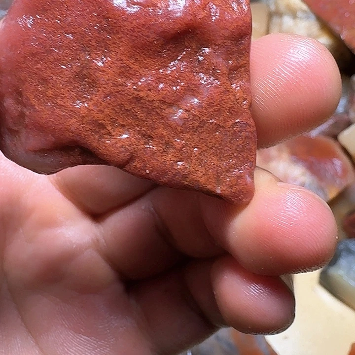 庐***子寿山石寿山石的种类
