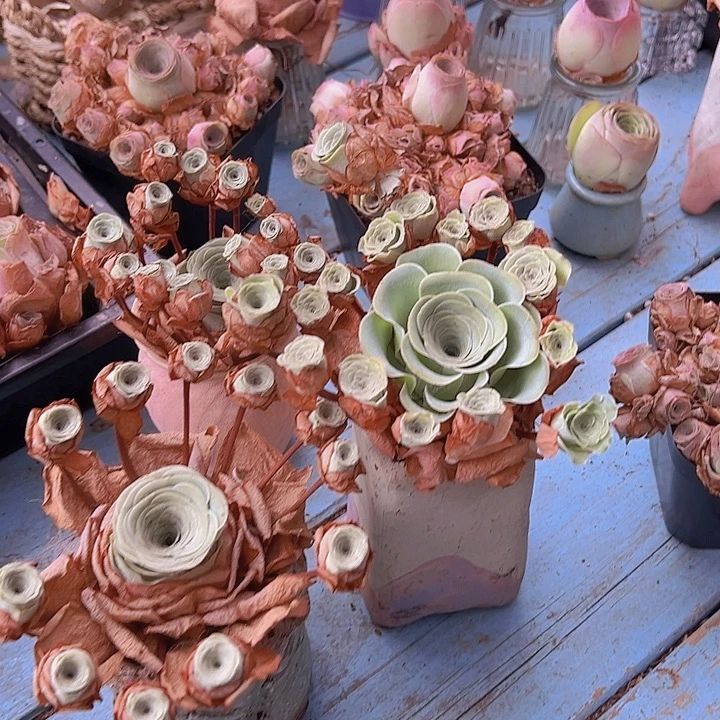 飘枝水蜜桃多头群生一颗