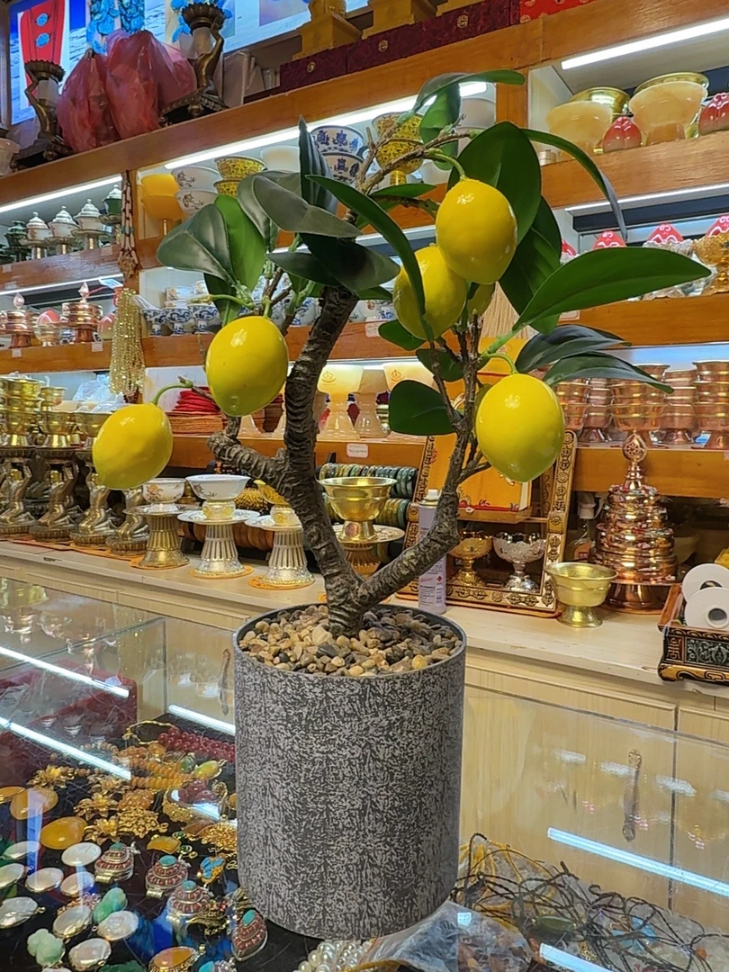 家居摆件绿植梨树