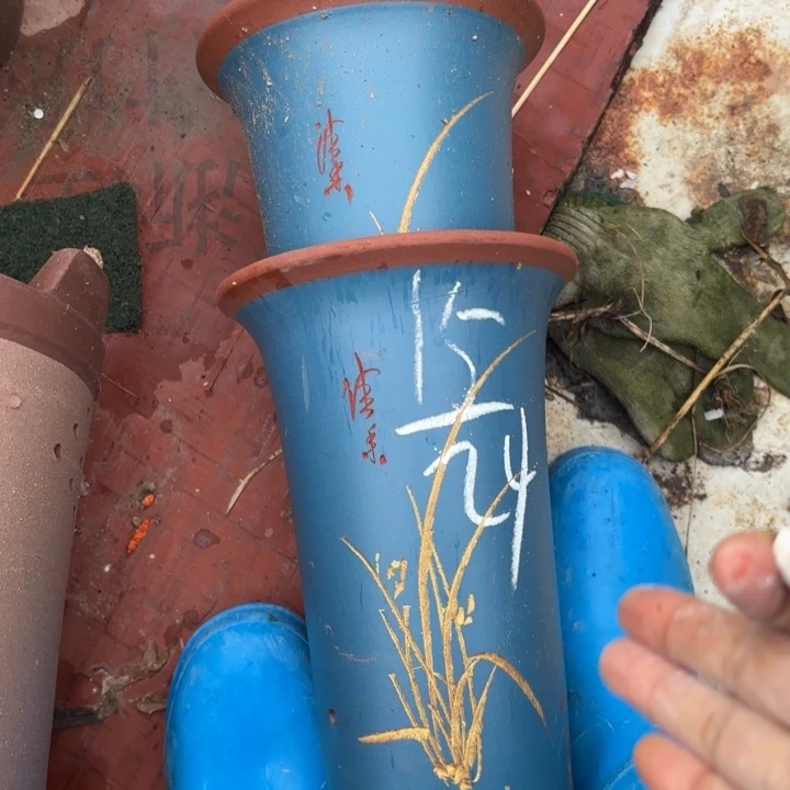 花盆紫砂紫砂的花也