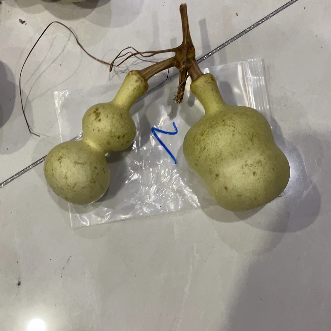 一***鱼过海关符合环境监管环境