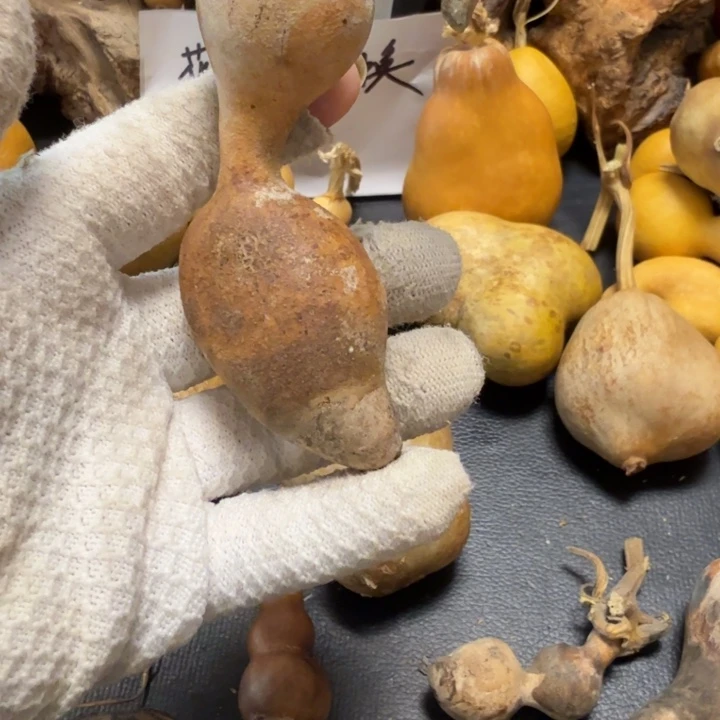 中***邢6767777778@iikkkkkkkiio