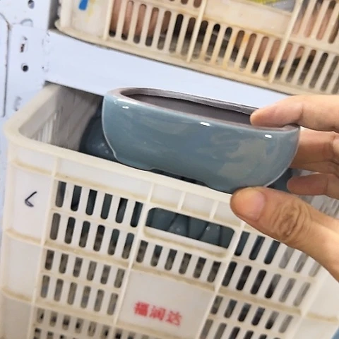 ····全是福利····5037