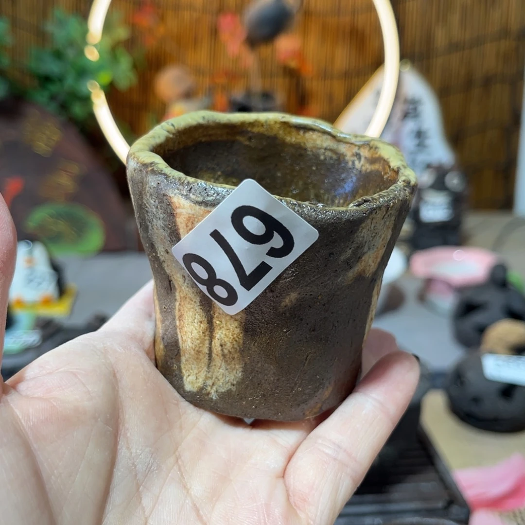 木村信弘柴烧保平