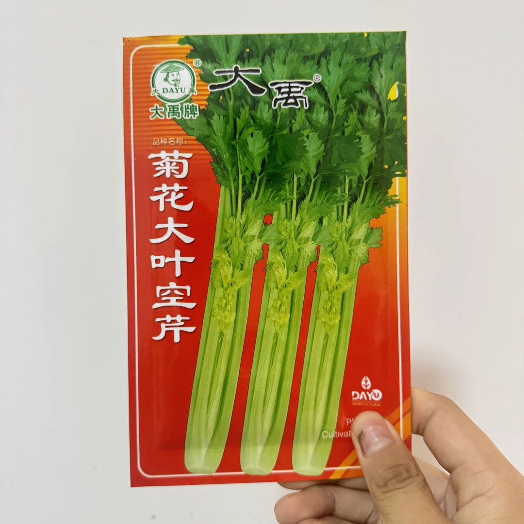 【满5包包邮】菊花大叶空芹芹菜种子四季种植脆嫩纤维少田园蔬菜