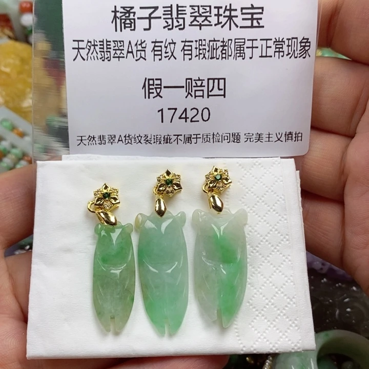 翡翠未镶嵌吊坠(赠链)