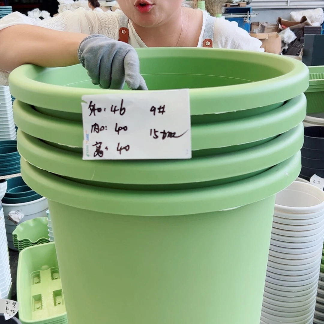 四季盆9#果绿色4个无托