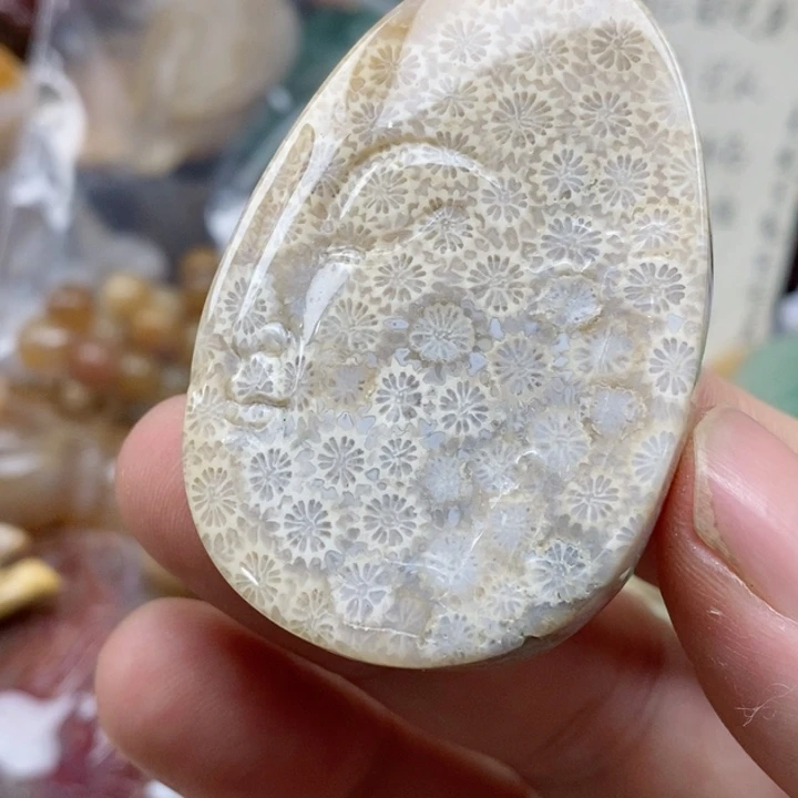 硅化珊瑚（珊瑚玉）未镶嵌颈饰有瑕
