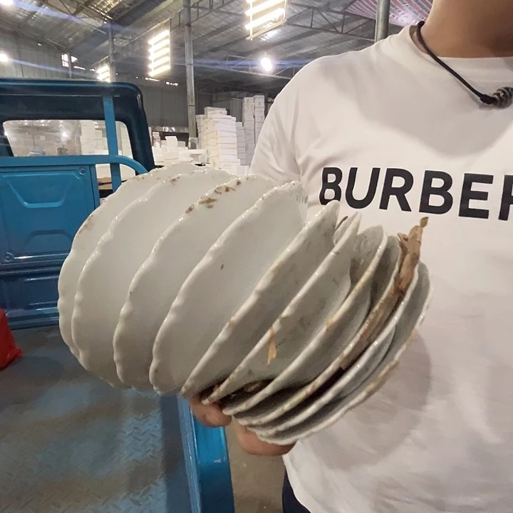 瓷片景德镇陶瓷老白胎6寸碟10只