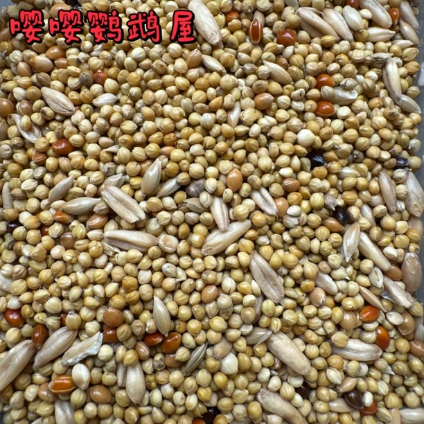 金彩虎皮鹦鹉专用带壳黄谷子小米五色黍子鸟食饲料