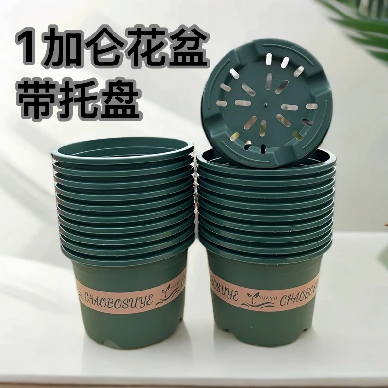 【10个带托盘】矮三代150加仑花盆【口径15高11】多肉绿植花盆